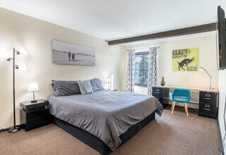 1040 Vail View Dr, Unit Snow Lion in Vail, CO - Foto de edificio - Building Photo