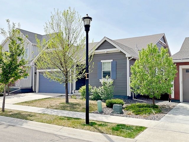 2016 Moon Rise Dr in Windsor, CO - Building Photo - Building Photo