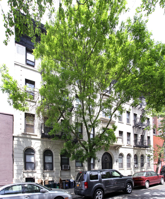 229 St Johns Pl in Brooklyn, NY - Foto de edificio - Building Photo