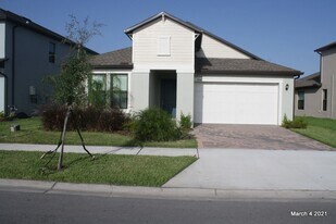 8268 Capstone Ranch Dr in New Port Richey, FL - Building Photo