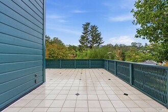 309 Melrose Ave in Mill Valley, CA - Building Photo - Building Photo