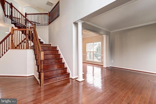 14204 Murphy Terrace in Gainesville, VA - Building Photo - Building Photo