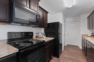 1525 Breanna Ln in Kyle, TX - Building Photo - Building Photo
