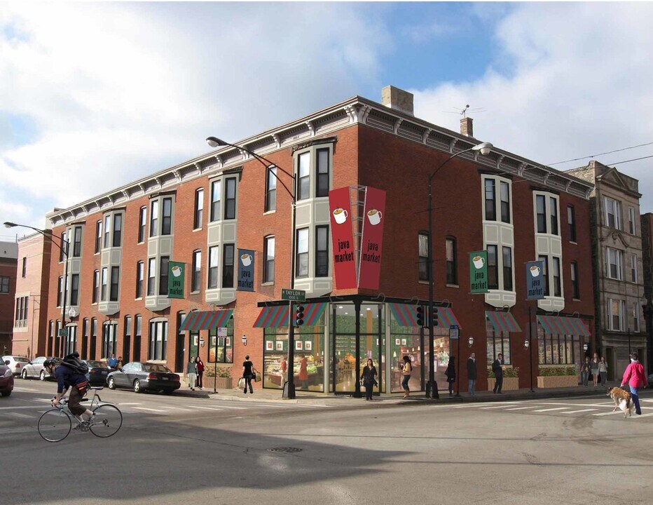 1008 S Loomis St in Chicago, IL - Building Photo