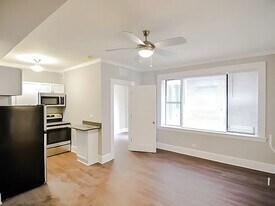 827 W Lakeside Pl, Unit 502 in Chicago, IL - Building Photo