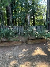 2420 Stadium Dr in Durham, NC - Building Photo - Building Photo