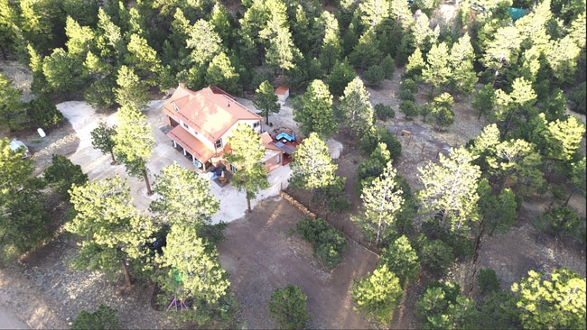 1625 Keepsake Loop in Westcliffe, CO - Building Photo - Building Photo
