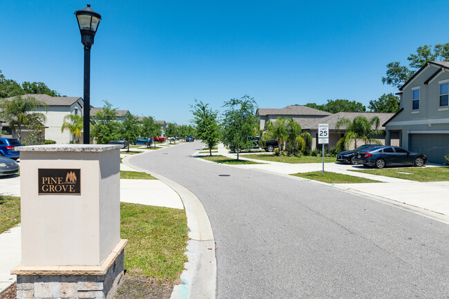 Preserve at Pinegrove in Riverview, FL - Foto de edificio - Building Photo