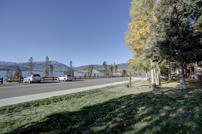 244 W Lodgepole St in Dillon, CO - Building Photo - Building Photo