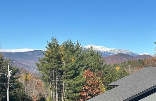 253 Linderhof Strasse in Bartlett, NH - Building Photo - Building Photo