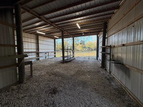 17 Timberwood Ct in Crawfordville, FL - Building Photo - Building Photo