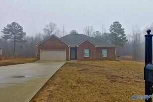 1389 Old Rd in Jasper, AL - Building Photo