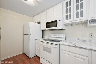 61 W 15th St in Chicago, IL - Building Photo - Building Photo