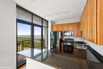 233 E 13th St in Chicago, IL - Building Photo - Building Photo