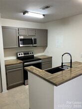 18809 Vineyard Point Ln in Cornelius, NC - Building Photo - Building Photo