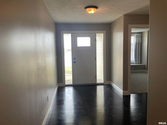 700 Garvey Ln in Chatham, IL - Building Photo - Building Photo