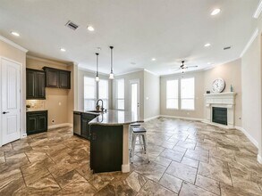 21918 Avalon Queen Dr in Spring, TX - Building Photo - Building Photo