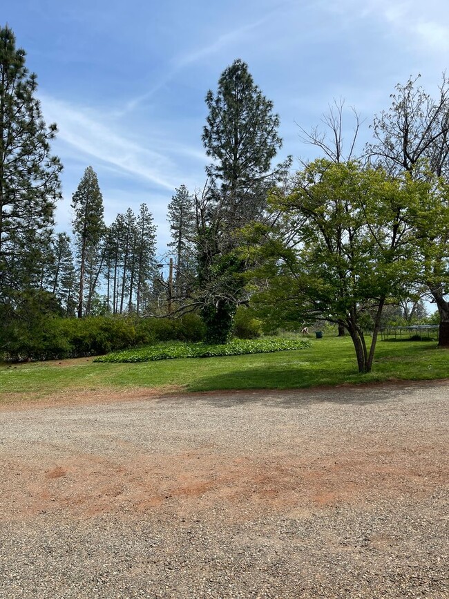 6353 Forest Ln in Paradise, CA - Foto de edificio - Building Photo