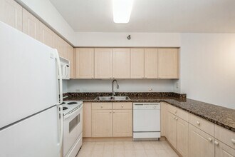 512 N McClurg Ct in Chicago, IL - Building Photo - Building Photo