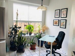 3402 Plymouth Pointe Ln in Missouri City, TX - Building Photo - Building Photo