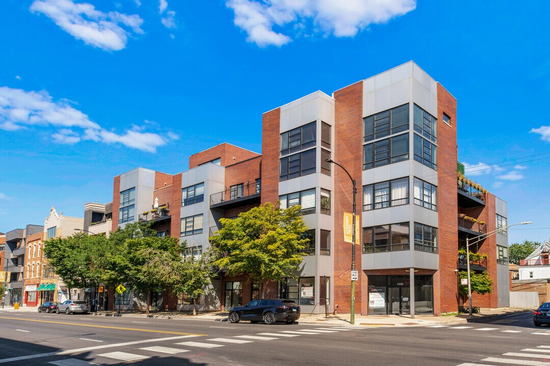 808 N Greenview Ave in Chicago, IL - Building Photo