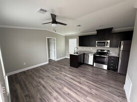 3114 Shady Creek Ln in Oyster Creek, TX - Building Photo