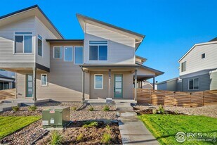 6025 Denys Dr. in Timnath, CO - Building Photo