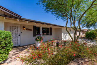 5902 E Edgemont Ave in Scottsdale, AZ - Building Photo - Building Photo