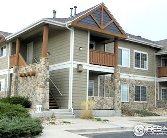 1343 Lake Circle in Windsor, CO - Building Photo