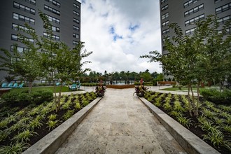 The Avenue at East Falls in Philadelphia, PA - Building Photo - Building Photo