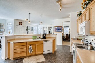 10582 Parkington Ln in Highlands Ranch, CO - Building Photo - Building Photo