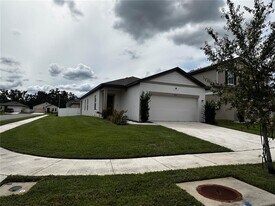 35576 Shade Fern Ln in Zephyrhills, FL - Building Photo