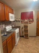 1313 W Rush St in Philadelphia, PA - Building Photo - Building Photo