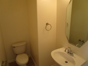 1819 LeAnn Ln in Irving, TX - Building Photo - Building Photo