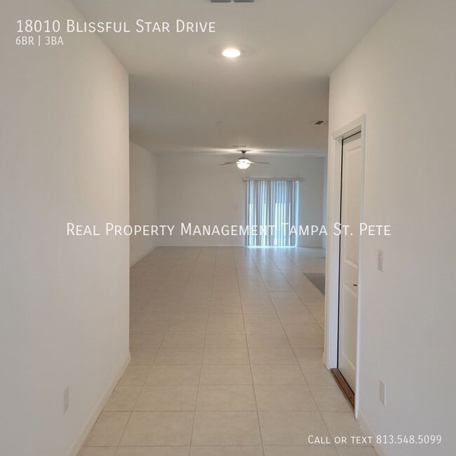 18010 Blissful Stars Dr in Lutz, FL - Building Photo - Building Photo