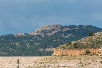 1707 Palm Dr in Fort Collins, CO - Building Photo - Building Photo