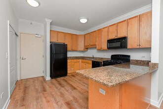 1133 S State St in Chicago, IL - Building Photo - Building Photo