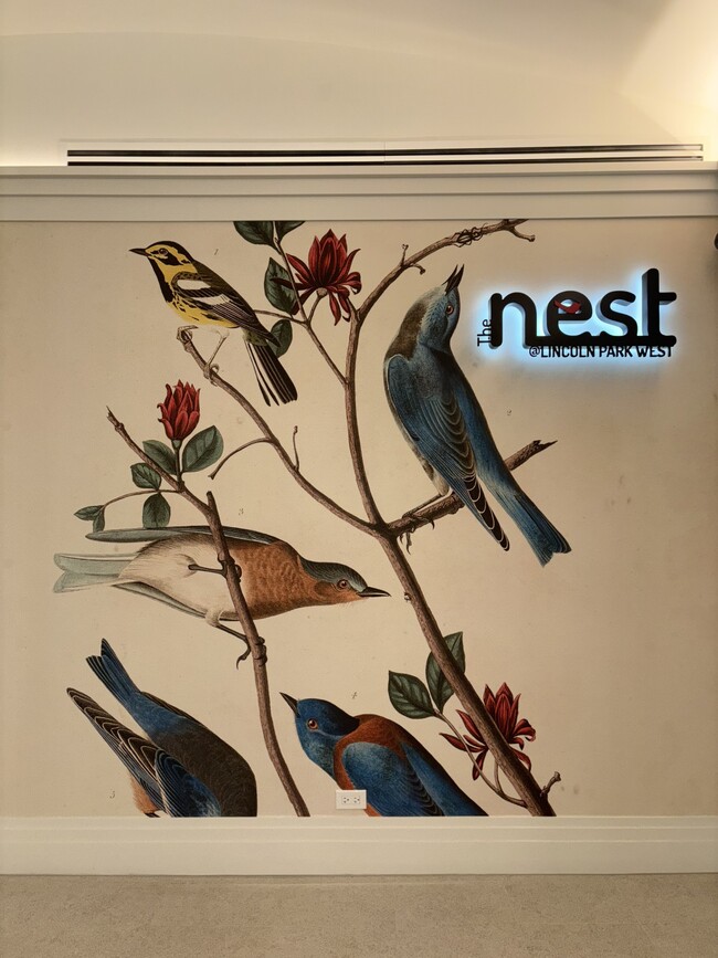 The Nest at 2140 N Lincoln Park W