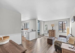 306 W Miner St, Unit X in Arlington Heights, IL - Building Photo