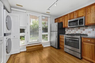 1321 S Plymouth Ct in Chicago, IL - Building Photo - Building Photo