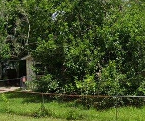 8309 Carolwood Dr in Houston, TX - Building Photo - Building Photo