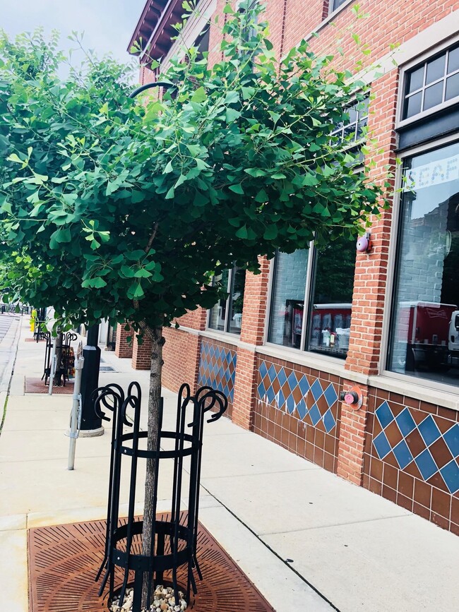 property at 322 N Henry St