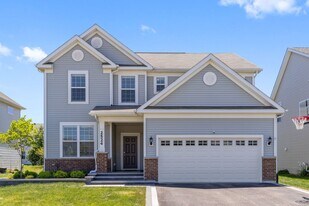 2524 Balsam Cove Rd in Naperville, IL - Building Photo