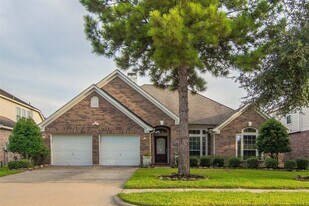 8847 Distant Woods Dr in Houston, TX - Building Photo
