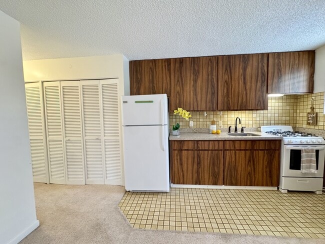 1036 Green St in Honolulu, HI - Foto de edificio - Building Photo