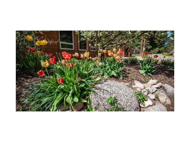 37 Verde Ln in Durango, CO - Building Photo - Building Photo