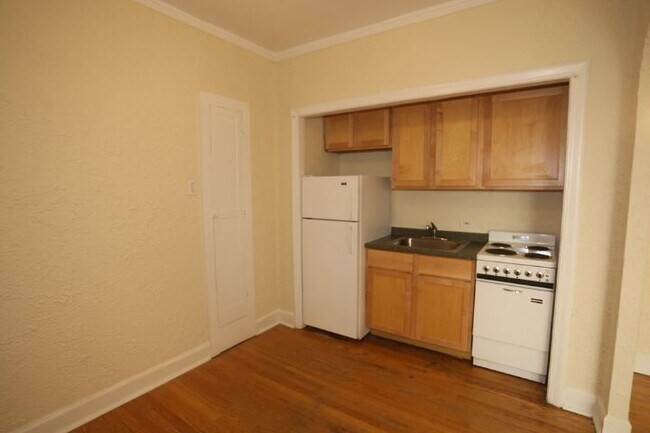 539 W Arlington Pl in Chicago, IL - Building Photo - Building Photo