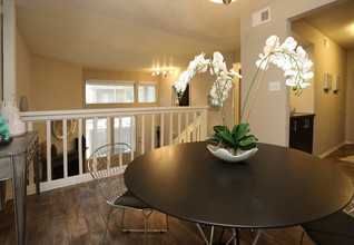 Serena Vista in Arlington, TX - Building Photo - Interior Photo