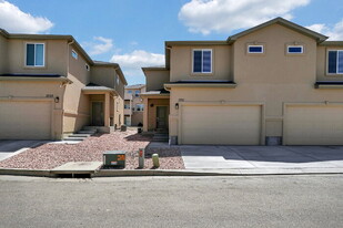 3731 Venice Grove in Colorado Springs, CO - Building Photo