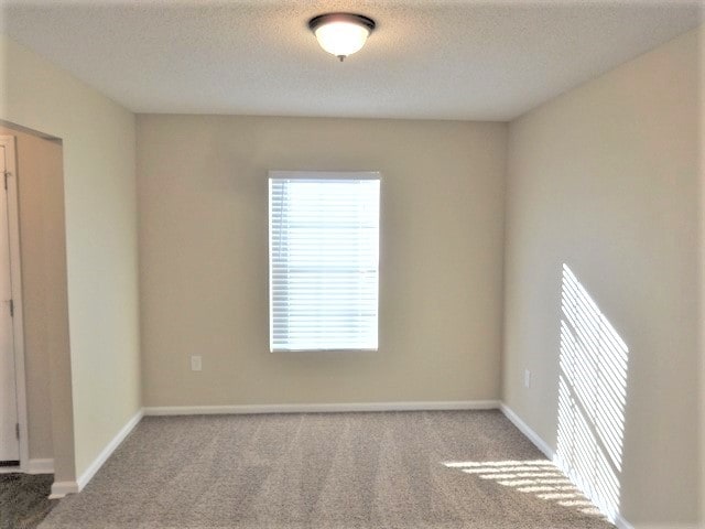 2842 Taylor Hill Dr in Jacksonville, FL - Foto de edificio - Building Photo